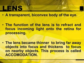 LENSA transparent, biconvex body of the eye.The function of the lens is to refract and focus incoming light onto the retina for processing.The lens became thinner  to bring far away objects into focus and thickens  to focus on nearby objects. This process is called ACCOMODATION.