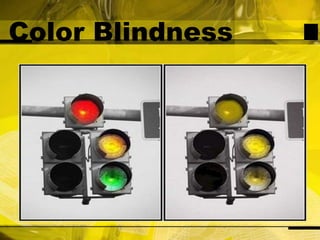 Color Blindness