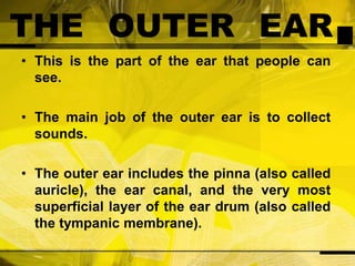 THE OUTER EAR This is the part of the ear that people can see.The main job of the outer ear is to collect sounds.The outer ear includes the pinna (also called auricle), the ear canal, and the very most superficial layer of the ear drum (also called the tympanic membrane).