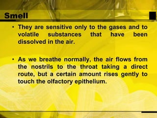 SmellThey are sensitive only to the gases and to volatile substances that have been dissolved in the air. As we breathe normally, the air flows from the nostrils to the throat taking a direct route, but a certain amount rises gently to touch the olfactory epithelium. 