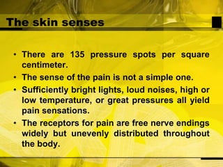The skin sensesThere are 135 pressure spots per square centimeter.The sense of the pain is not a simple one.Sufficiently bright lights, loud noises, high or low temperature, or great pressures all yield pain sensations.The receptors for pain are free nerve endings widely but unevenly distributed throughout the body.