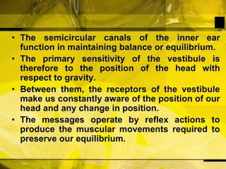 The semicircular canals of the inner ear function in maintaining balance or equilibrium. The primary sensitivity of the vestibule is therefore to the position of the head with respect to gravity.Between them, the receptors of the vestibule make us constantly aware of the position of our head and any change in position.The messages operate by reflex actions to produce the muscular movements required to preserve our equilibrium.