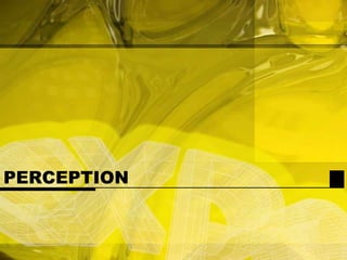 PERCEPTION
