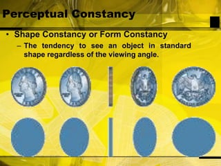 Perceptual ConstancyShape Constancy or Form ConstancyThe tendency to see an object in standard shape regardless of the viewing angle.