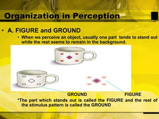 Organization in PerceptionA. FIGURE and GROUNDWhen we perceive an object, usually one part  tends to stand out while the rest seems to remain in the background.                                         GROUND                               FIGURE*The part which stands out is called the FIGURE and the rest of the stimulus pattern is called the GROUND