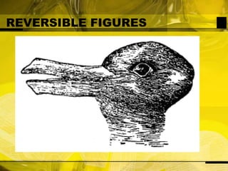 REVERSIBLE FIGURES