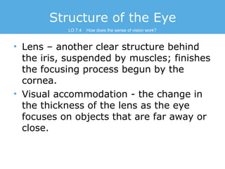 Structure of the Eye
LO 7.4

How does the sense of vision work?

• Lens – another clear structure behind
the iris, suspend...