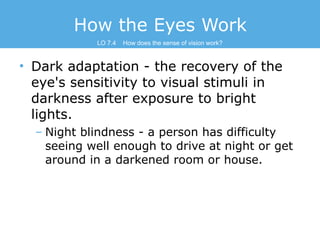 How the Eyes Work
LO 7.4

How does the sense of vision work?

• Dark adaptation - the recovery of the
eye's sensitivity to...