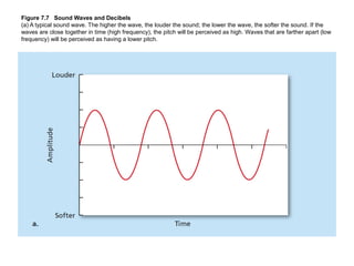 Figure 7.7 Sound Waves and Decibels
(a) A typical sound wave. The higher the wave, the louder the sound; the lower the wav...