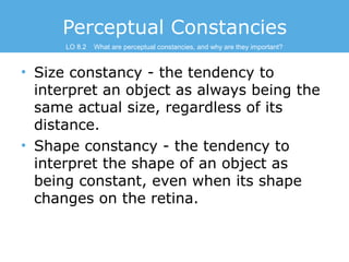 Perceptual Constancies
LO 8.2

What are perceptual constancies, and why are they important?

• Size constancy - the tenden...