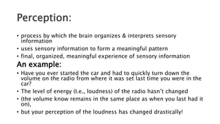 Sensory Perception Example Sensation-psychology-health and medicine | PPTX