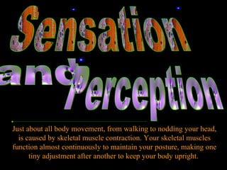 Just about all body movement, from walking to nodding your head, is caused by skeletal muscle contraction. Your skeletal muscles function almost continuously to maintain your posture, making one tiny adjustment after another to keep your body upright.  Sensation  and  Perception 
