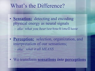 What’s the Difference? Sensation:   detecting and encoding physical energy as neural signals aka: what you hear/see/touch/smell/taste Perception:   selection, organization, and interpretation of our sensations; aka:  what it all MEANS We transform  sensations   into   perceptions 