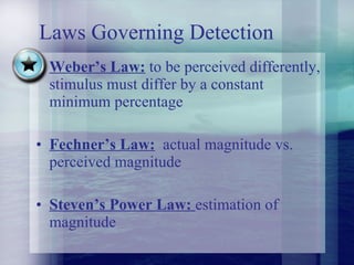 Laws Governing Detection Weber’s Law:  to be perceived differently, stimulus must differ by a constant minimum percentage Fechner’s Law:   actual magnitude vs. perceived magnitude Steven’s Power Law:  estimation of magnitude 