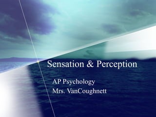 Sensation & Perception AP Psychology Mrs. VanCoughnett 