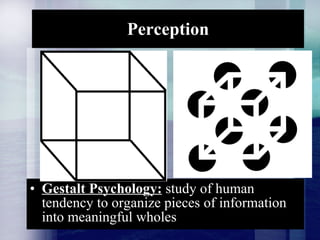 Perception <ul><li>Gestalt Psychology:  study of human tendency to organize pieces of information into meaningful wholes <...
