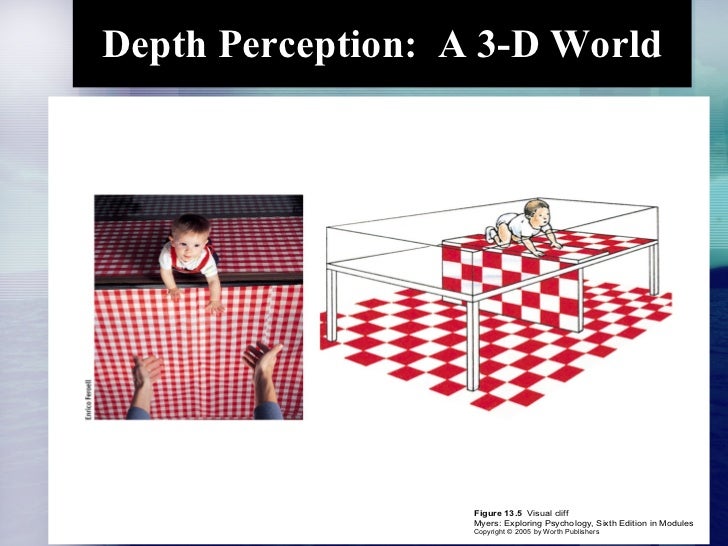 Sensation & Perception