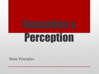 Sensation &
        Perception
Basic Principles
 