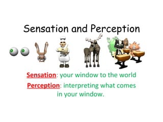 Sensation and Perception 
Sensation: your window to the world 
Perception: interpreting what comes 
in your window. 
 