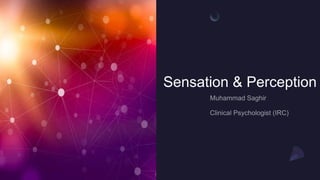 Sensation & Perception
 