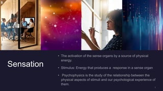Sensation
 
