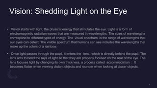 Vision: Shedding Light on the Eye
 