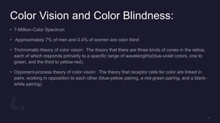 Color Vision and Color Blindness:
 