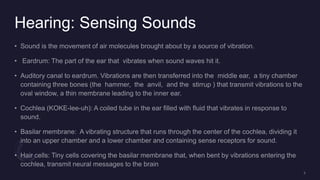 Hearing: Sensing Sounds
 