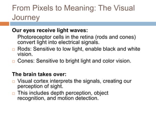 From Pixels to Meaning: The Visual
Journey
Our eyes receive light waves:
Photoreceptor cells in the retina (rods and cones)
convert light into electrical signals.
 Rods: Sensitive to low light, enable black and white
vision.
 Cones: Sensitive to bright light and color vision.
The brain takes over:
 Visual cortex interprets the signals, creating our
perception of sight.
 This includes depth perception, object
recognition, and motion detection.
 