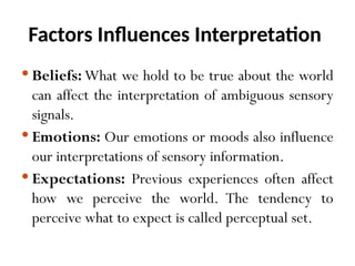 Sensation and Perception lecture slides | PPTX