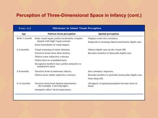 Perception of Three-Dimensional Space in Infancy (cont.)
 