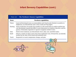 Infant Sensory Capabilities (cont.)
 