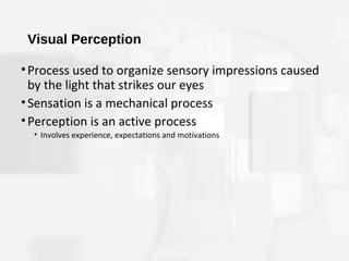 Perseptive Processes Sensation and perception | PPT