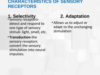 CHARACTERISTICS OF SENSORY
RECEPTORS
1. Selectivity 2. Adaptation
•Sensory receptors-
detect and respond to
one type of se...
