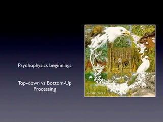 Psychophysics beginnings


Top-down vs Bottom-Up
      Processing
 