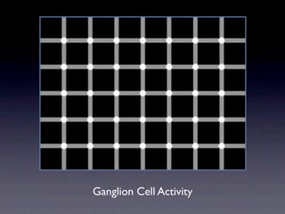 Ganglion Cell Activity
 