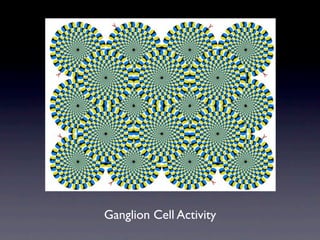 Ganglion Cell Activity
 