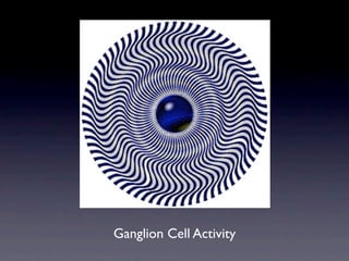 Ganglion Cell Activity
 