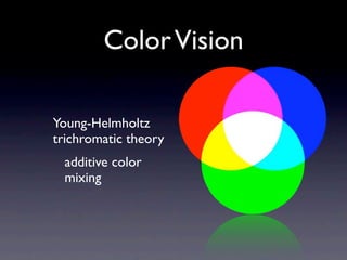 Color Vision

Young-Helmholtz
trichromatic theory
  additive color
  mixing
 