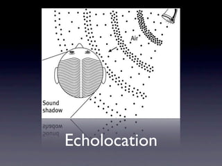 Echolocation
 
