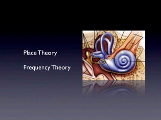 Place Theory

Frequency Theory
 