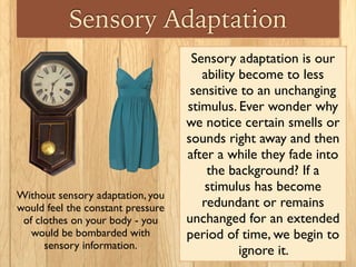Sensory Adaptation
Sensory adaptation is our
ability become to less
sensitive to an unchanging
stimulus. Ever wonder why
we notice certain smells or
sounds right away and then
after a while they fade into
the background? If a
stimulus has become
redundant or remains
unchanged for an extended
period of time, we begin to
ignore it.
Without sensory adaptation, you
would feel the constant pressure
of clothes on your body - you
would be bombarded with
sensory information.
 