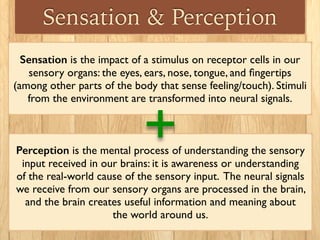 Sensation & Perception
Sensation is the impact of a stimulus on receptor cells in our
sensory organs: the eyes, ears, nose, tongue, and ﬁngertips
(among other parts of the body that sense feeling/touch). Stimuli
from the environment are transformed into neural signals.
Perception is the mental process of understanding the sensory
input received in our brains: it is awareness or understanding 	

of the real-world cause of the sensory input. The neural signals
we receive from our sensory organs are processed in the brain,
and the brain creates useful information and meaning about 	

the world around us.
+
 