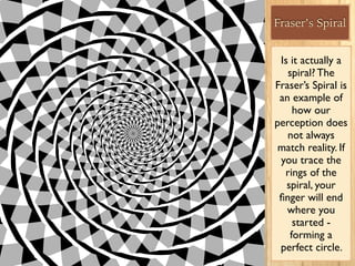 Fraser’s Spiral
Is it actually a
spiral? The
Fraser’s Spiral is
an example of
how our
perception does
not always
match reality. If
you trace the
rings of the
spiral, your
ﬁnger will end
where you
started -
forming a
perfect circle.
 