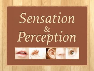 Sensation!
Perception!
!
&
 