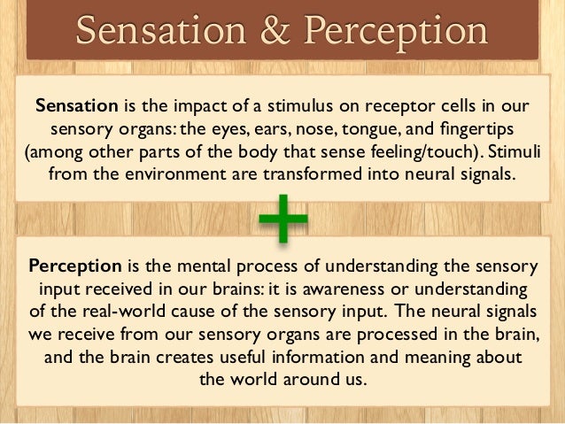 Sensation Perception 1 Sensation Perception 1