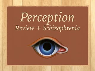Perception
Review + Schizophrenia
!
!
!
 