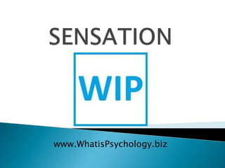 www.WhatisPsychology.biz
 
