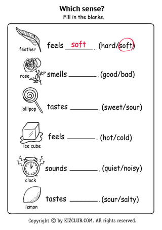 Which sense?
                         Fill in the blanks.




                             soft
                    feels                      (hard/soft)
                                       .
feather




                    smells                 . (good/bad)
rose




                    tastes                     . (sweet/sour)
lollipop




                    feels                      (hot/cold)
                                           .
 ice cube


        12 1
   11


                                                   (quiet/noisy)
                    sounds
               2
  10

                                               .
                3
  9
               4
   8
       765



  clock


                    tastes                     . (sour/salty)
  lemon

       Copyright c by KIZCLUB.COM. All rights reserved.