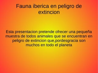 Fauna iberica en peligro de
extincion
Esta presentacion pretende ofrecer una pequeña
muestra de todos animales que se encuentran en
peligro de extincion que,pordesgracia son
muchos en todo el planeta
 